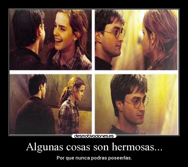 Algunas cosas son hermosas... - Por que nunca podras poseerlas.