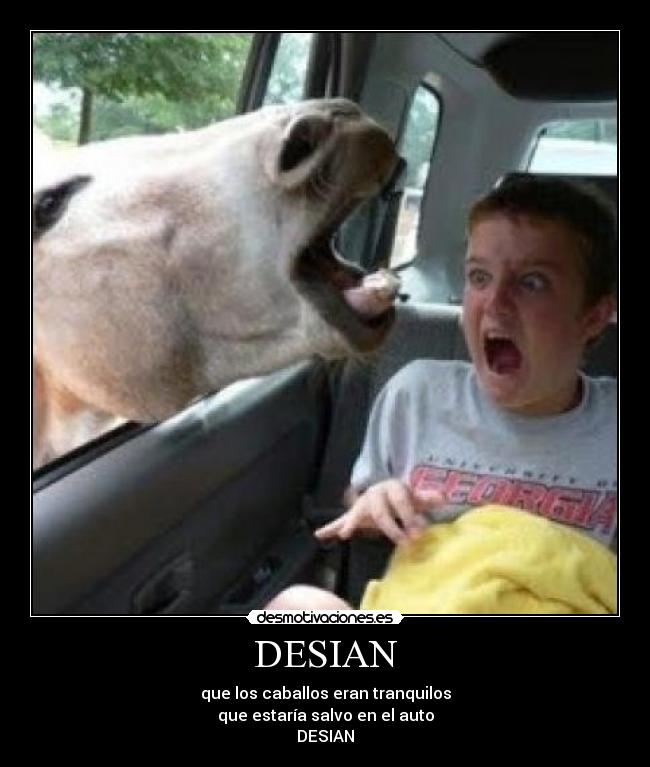 DESIAN - que los caballos eran tranquilos
que estaría salvo en el auto
DESIAN