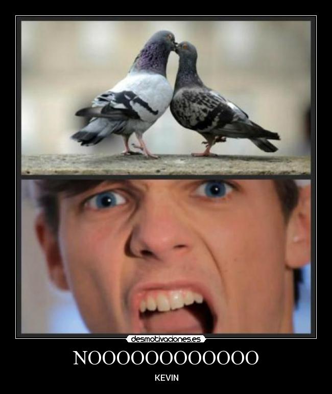 NOOOOOOOOOOOO - KEVIN