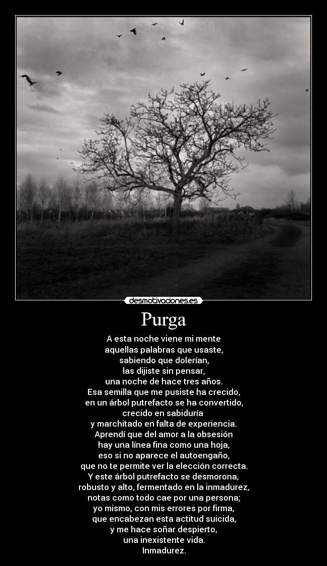 Purga -