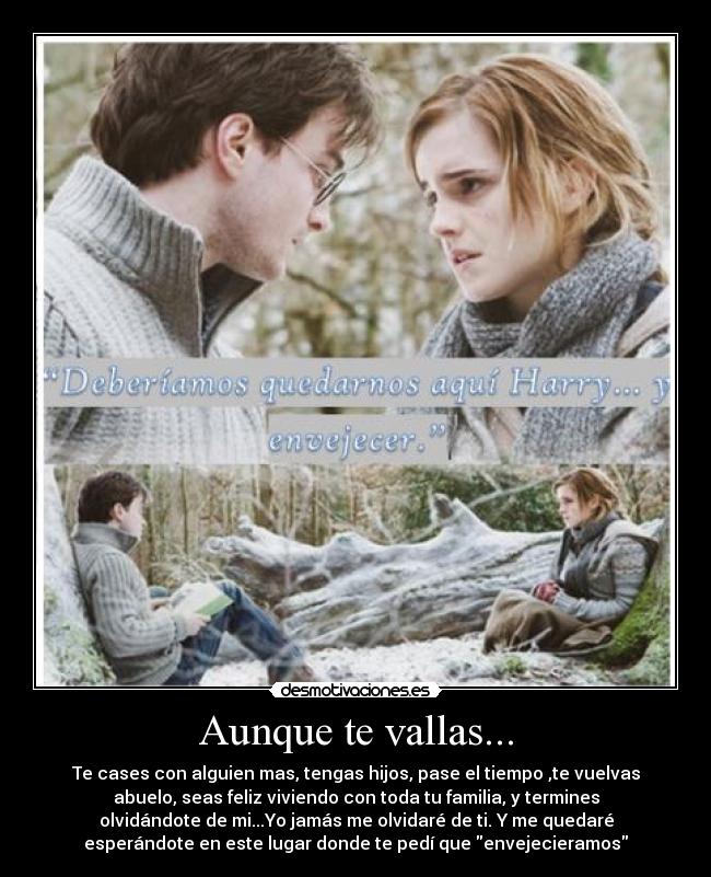 Aunque te vallas... - Te cases con alguien mas, tengas hijos, pase el tiempo ,te vuelvas
abuelo, seas feliz viviendo con toda tu familia, y termines
olvidándote de mi...Yo jamás me olvidaré de ti. Y me quedaré
esperándote en este lugar donde te pedí que envejecieramos