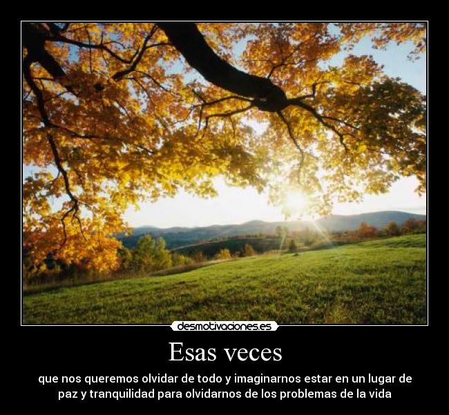 Esas veces - que nos queremos olvidar de todo y imaginarnos estar en un lugar de
paz y tranquilidad para olvidarnos de los problemas de la vida