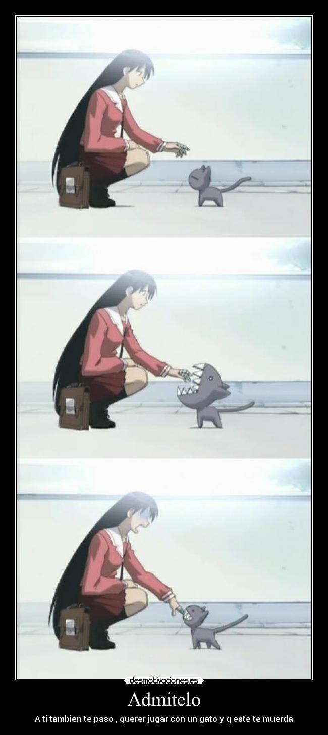 Admitelo - A ti tambien te paso , querer jugar con un gato y q este te muerda