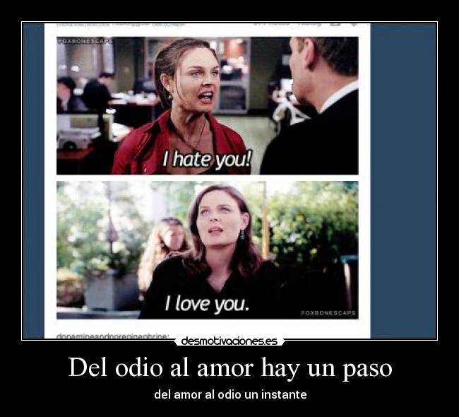 Del odio al amor hay un paso - del amor al odio un instante
