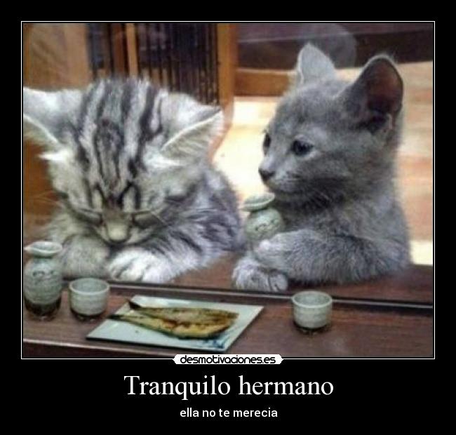 Tranquilo hermano -