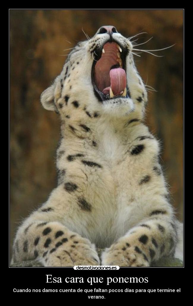 Esa cara que ponemos - Cuando nos damos cuenta de que faltan pocos días para que termine el verano.