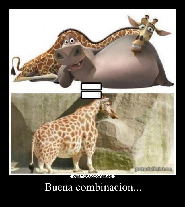 Buena combinacion... -
