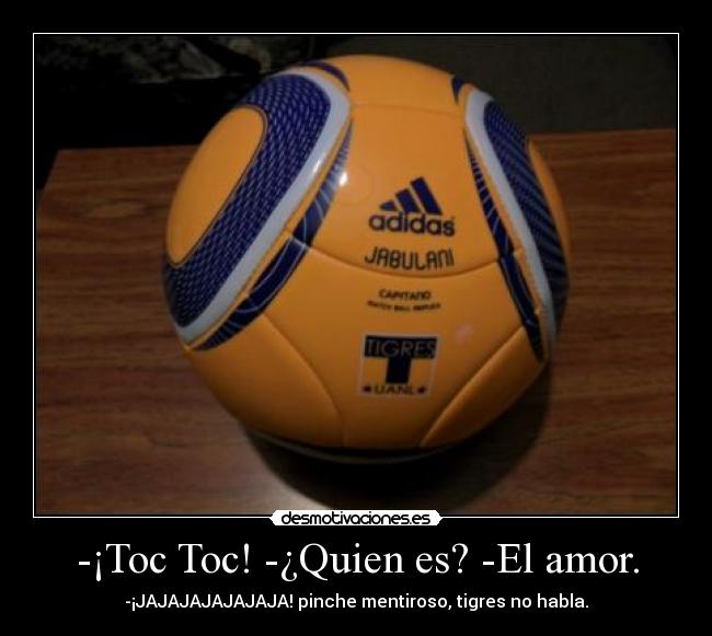 -¡Toc Toc! -¿Quien es? -El amor. - -¡JAJAJAJAJAJAJA! pinche mentiroso, tigres no habla.