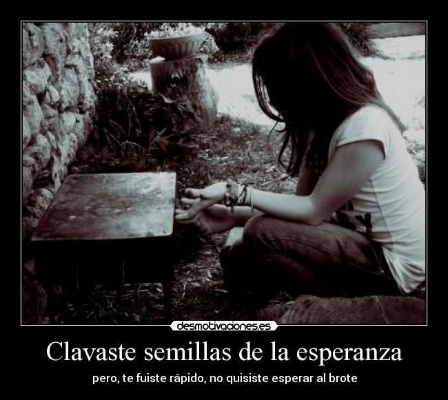 Clavaste semillas de la esperanza - pero, te fuiste rápido, no quisiste esperar al brote