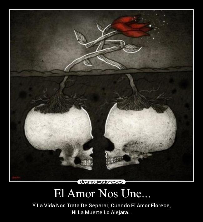 El Amor Nos Une... - Y La Vida Nos Trata De Separar, Cuando El Amor Florece,
Ni La Muerte Lo Alejara...