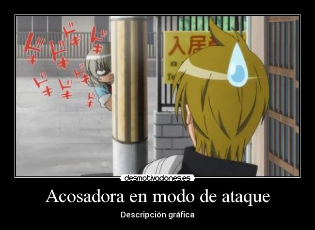 Acosadora en modo de ataque - Descripción gráfica