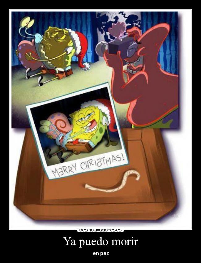 carteles pingas desmotivaciones