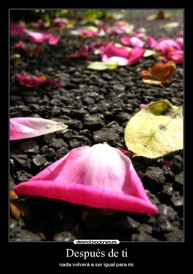Después de ti - nada volverá a ser igual para mi.