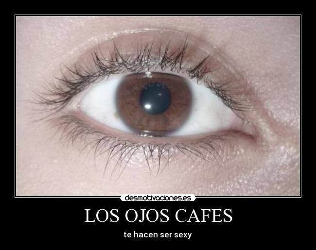 LOS OJOS CAFES - te hacen ser sexy