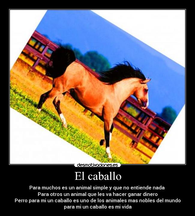 El caballo -