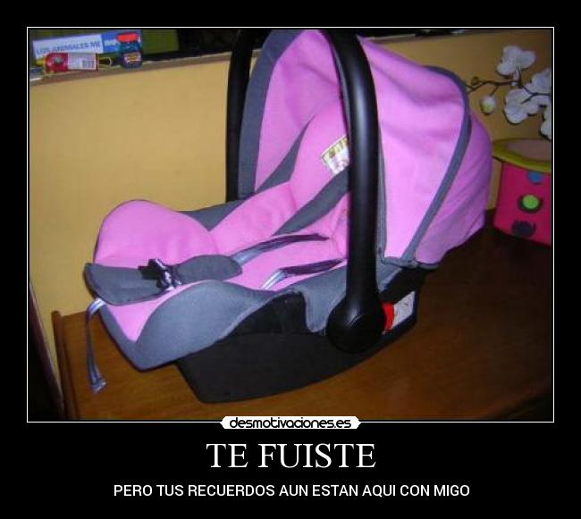 TE FUISTE - PERO TUS RECUERDOS AUN ESTAN AQUI CON MIGO