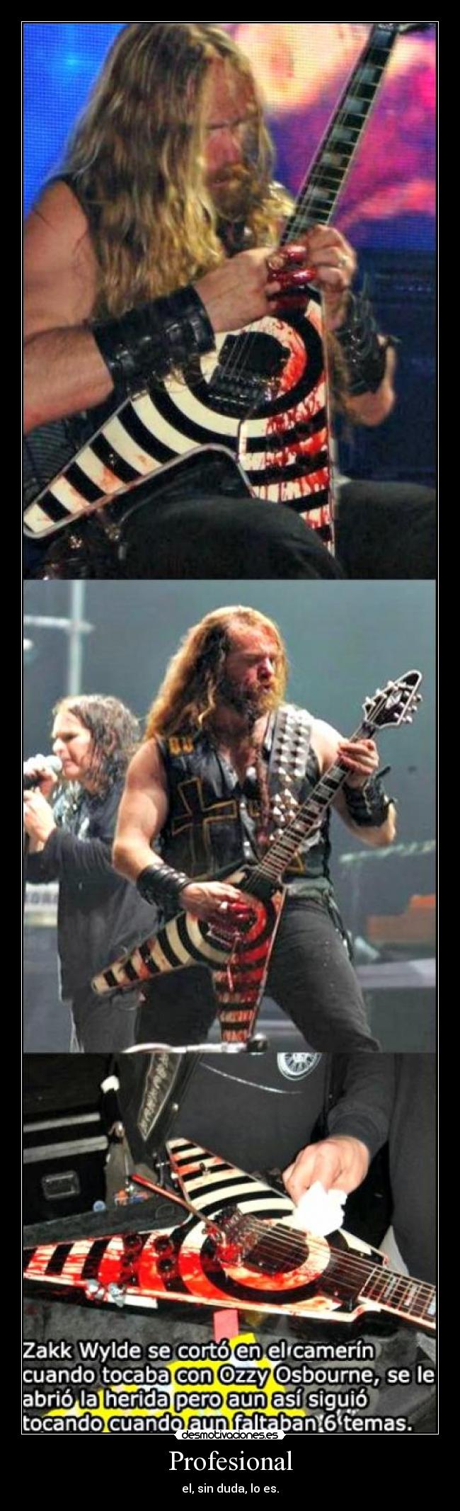 carteles prrofesional desmotivaciones