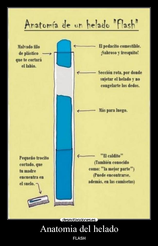 carteles lool dada flash verano desmotivaciones