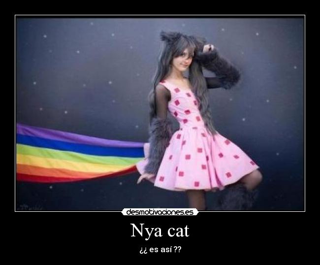 Nya cat -