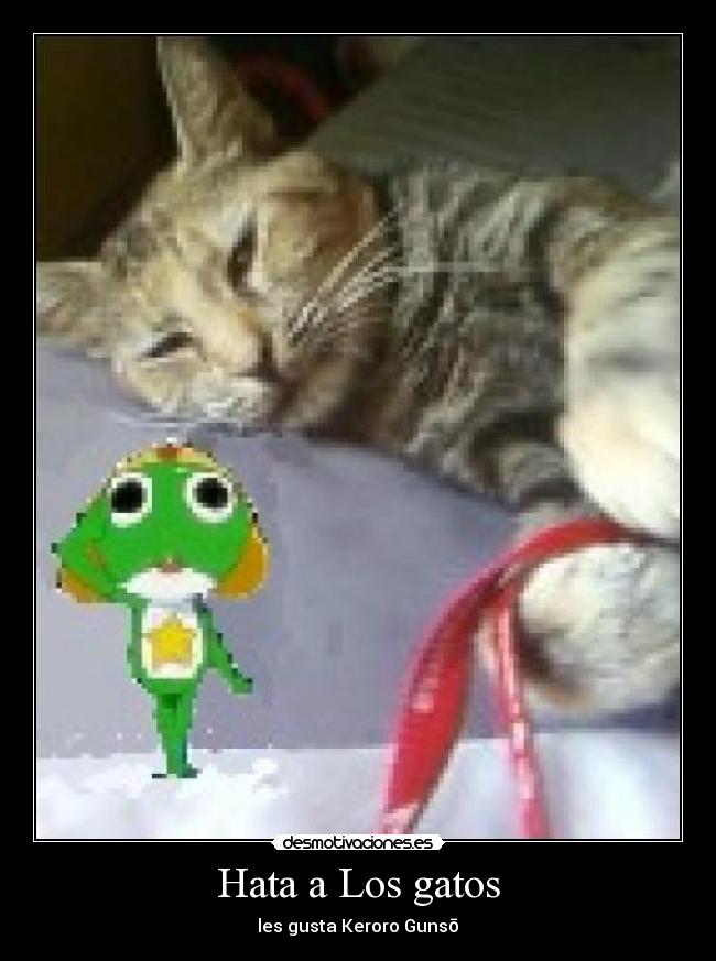 Hata a Los gatos -