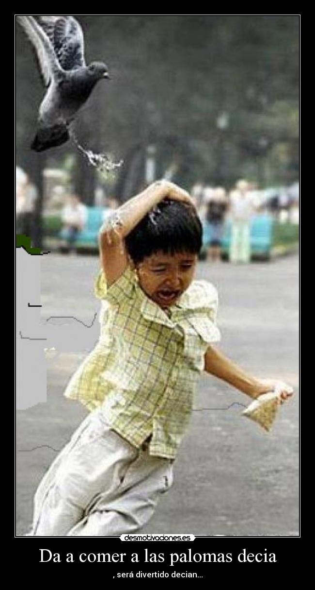 Da a comer a las palomas decia - , será divertido decian...
