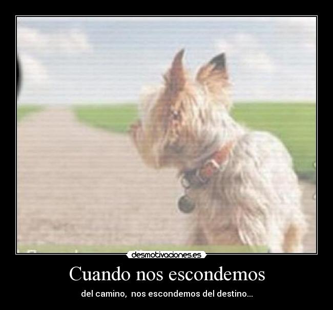 Cuando nos escondemos -