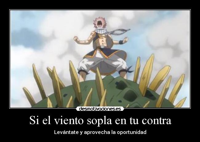 carteles fairytail desmotivaciones