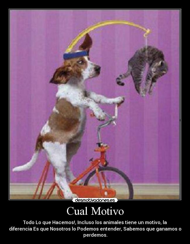 carteles vent sur peau desmotivaciones