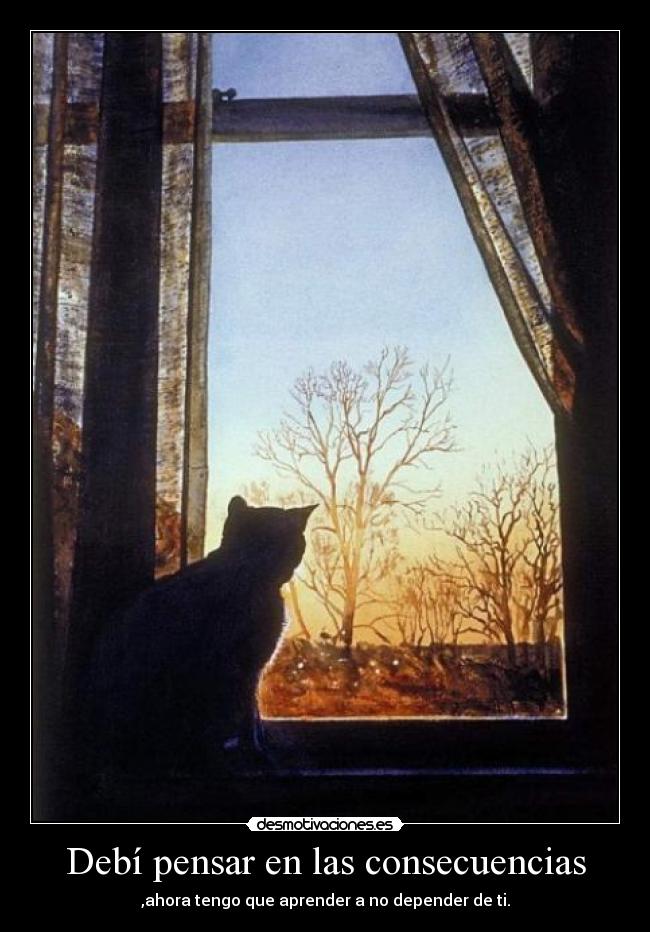 Debí pensar en las consecuencias - 