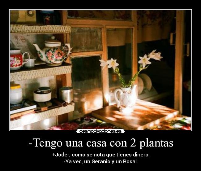 -Tengo una casa con 2 plantas - +Joder, como se nota que tienes dinero.
-Ya ves, un Geranio y un Rosal.