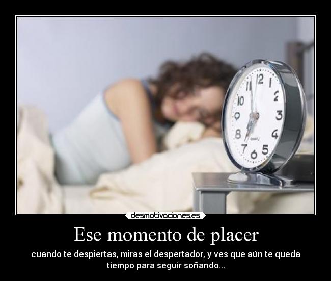 carteles dormir placer desmotivaciones