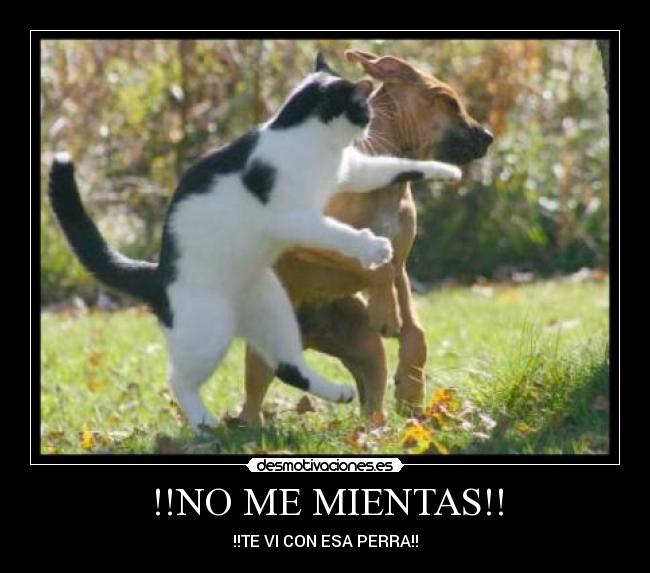 !!NO ME MIENTAS!! - 