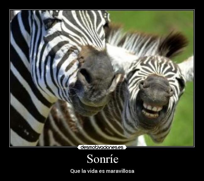 carteles verito3105 desmotivaciones