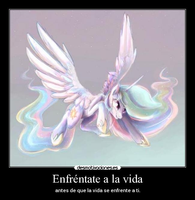 carteles vida 257 sinceramente digo que se que tiene que ver unicornio con todo esto desmotivaciones