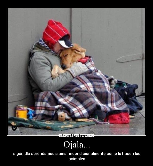 Ojala... -