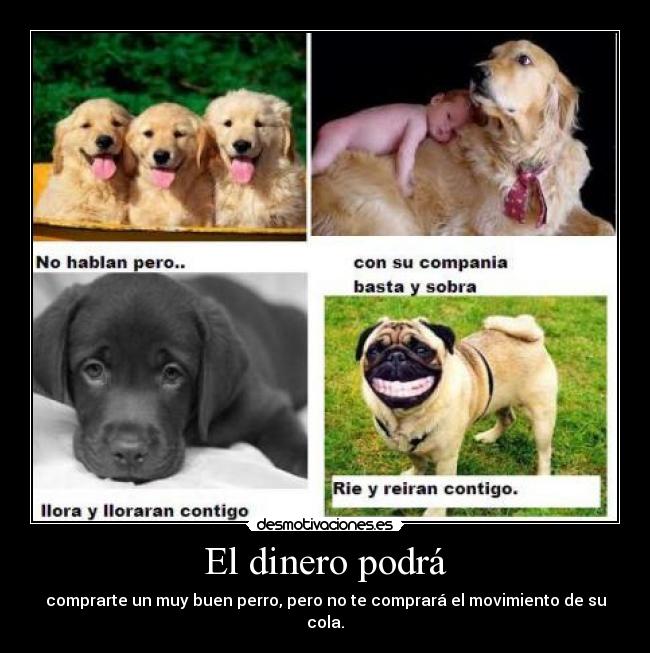 El dinero podrá - comprarte un muy buen perro, pero no te comprará el movimiento de su cola.