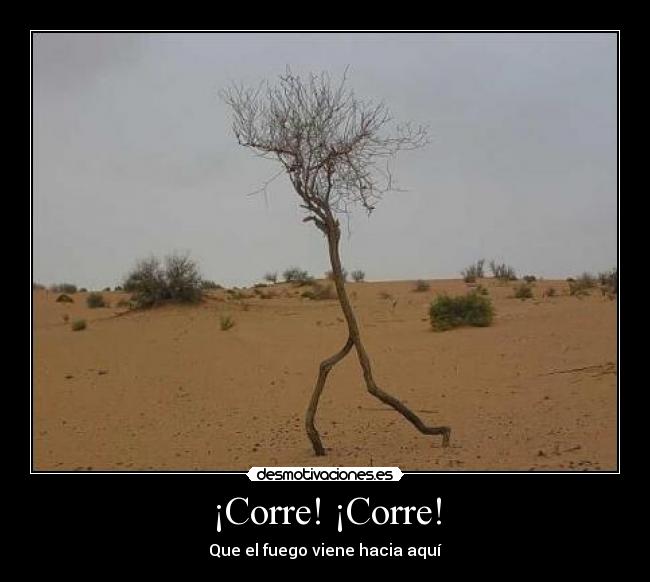 ¡Corre! ¡Corre! -