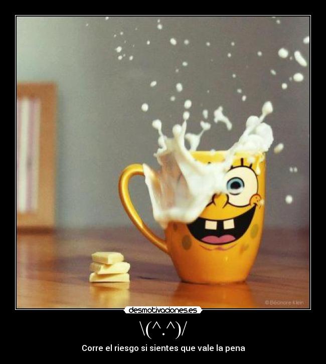 \(^.^)/ - Corre el riesgo si sientes que vale la pena