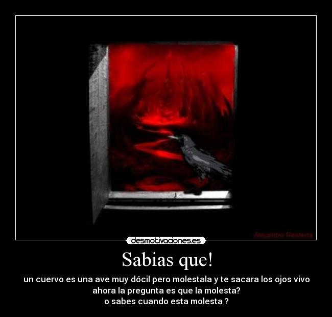 carteles cuervo desmotivaciones