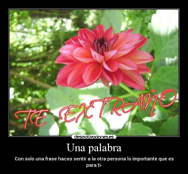 carteles desmotivaciones