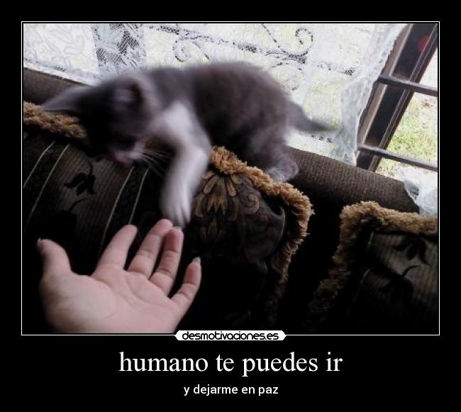 carteles paz desmotivaciones