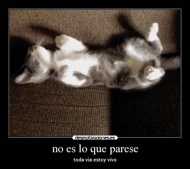 no es lo que parese - 