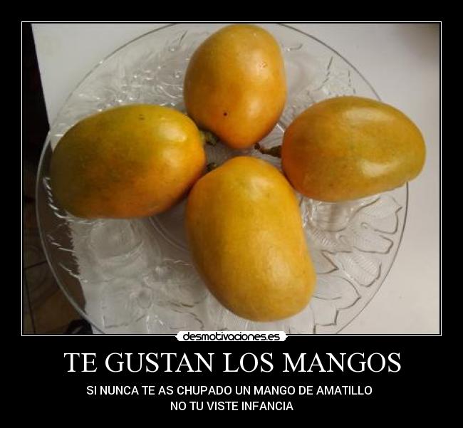 carteles mangos que rico mango desmotivaciones