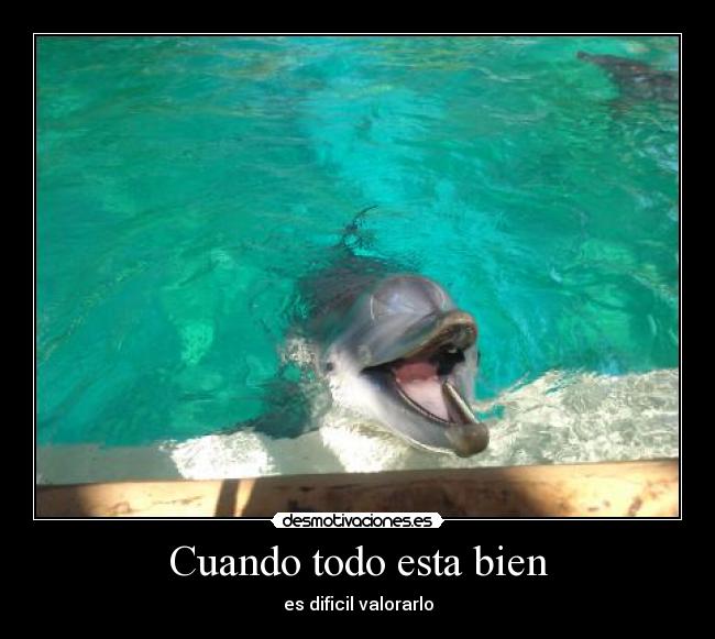 Cuando todo esta bien - es dificil valorarlo