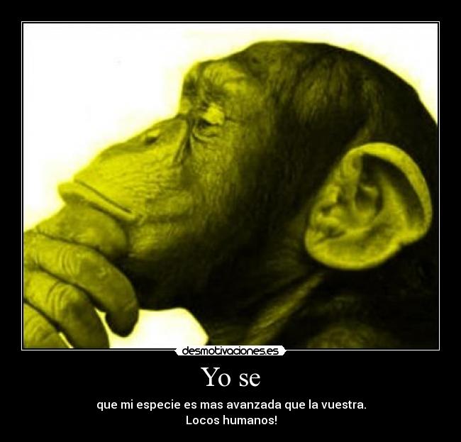 Yo se - que mi especie es mas avanzada que la vuestra.
Locos humanos!