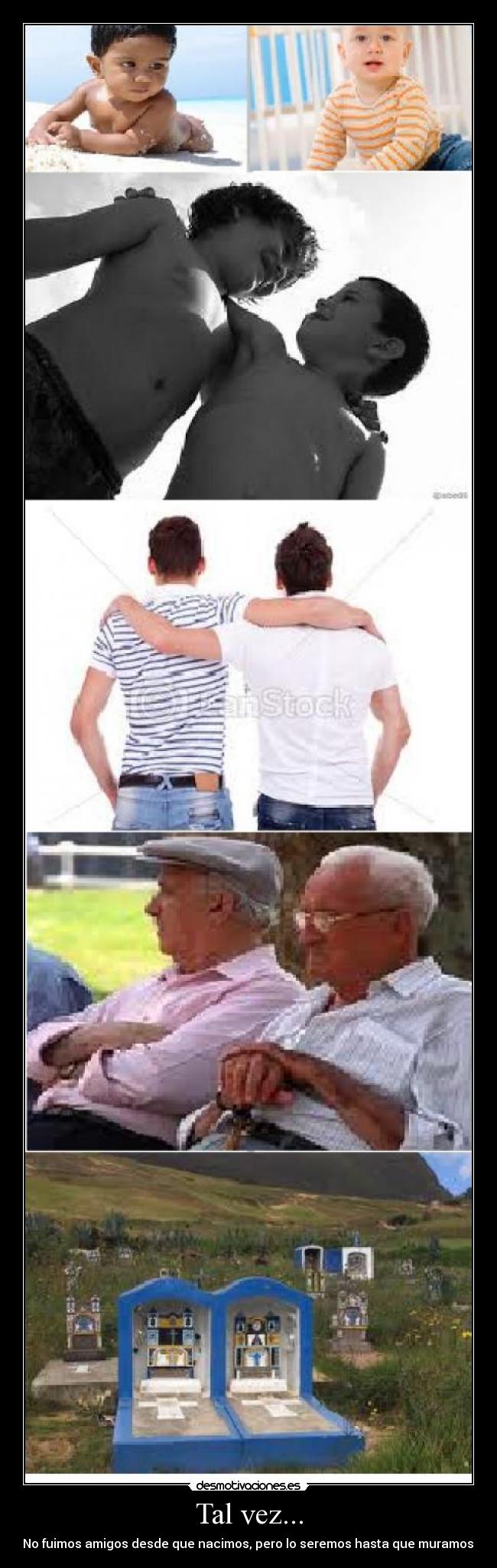 Tal vez... - No fuimos amigos desde que nacimos, pero lo seremos hasta que muramos,