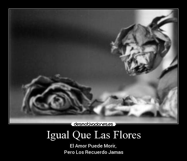 Igual Que Las Flores - El Amor Puede Morir,
Pero Los Recuerdo Jamas