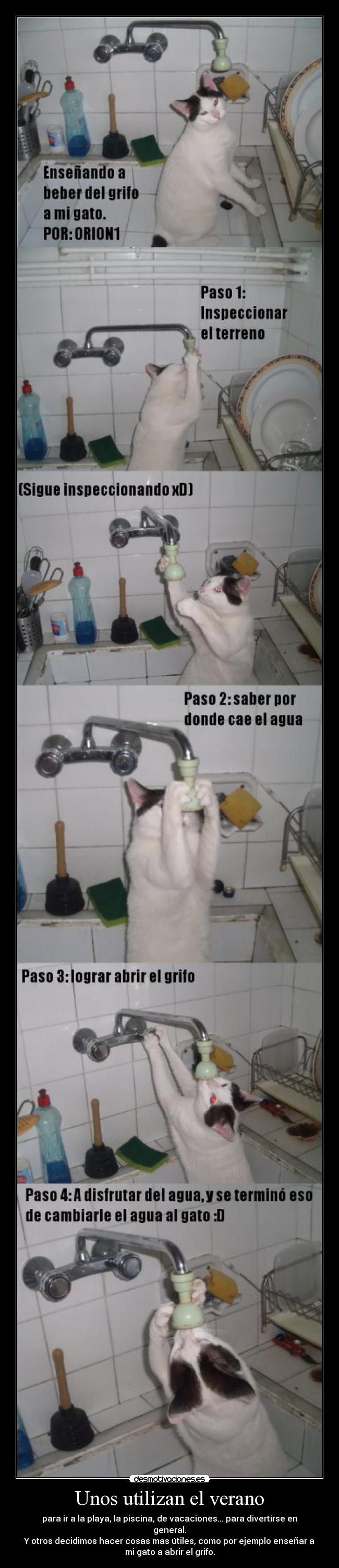 Unos utilizan el verano -