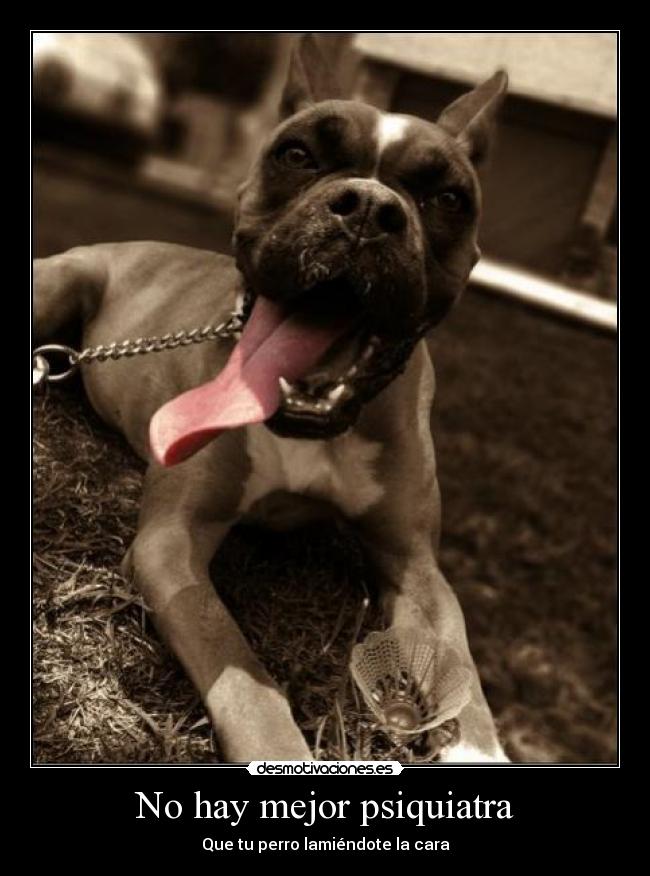 No hay mejor psiquiatra -