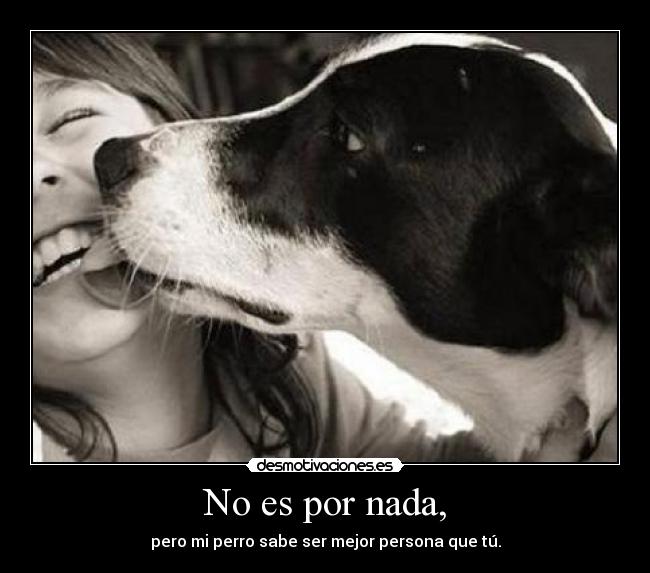 No es por nada, - pero mi perro sabe ser mejor persona que tú.